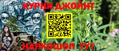 индика Пенза