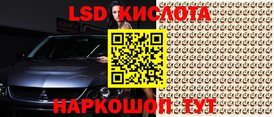 индика Пенза