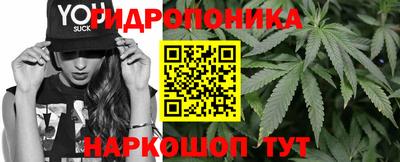 крисы Обнинск