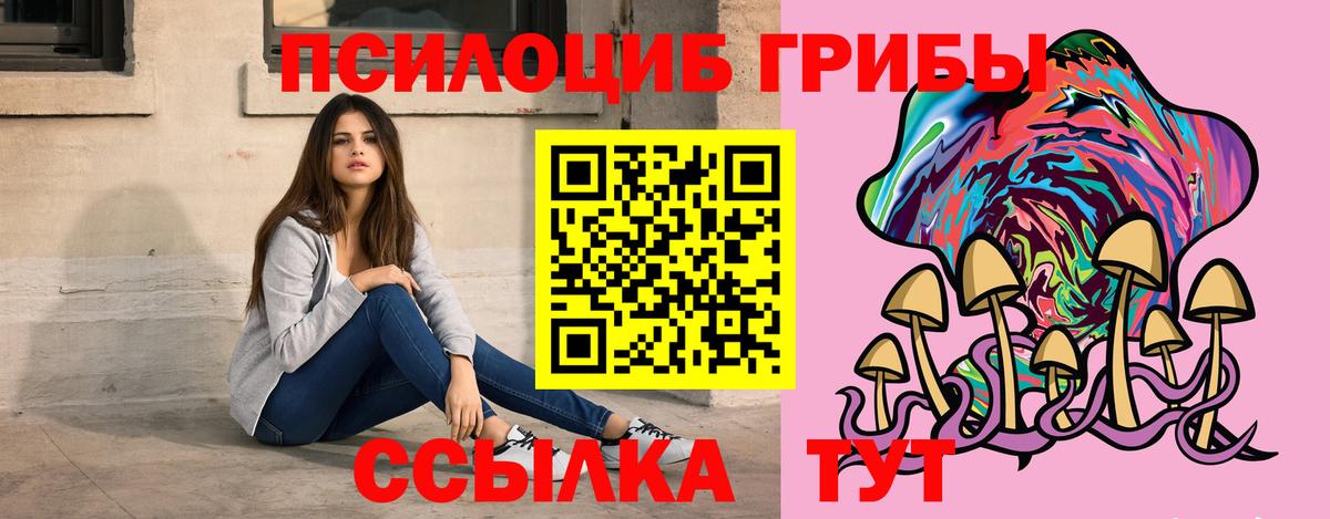 Галлюциногенные грибы Psilocybine cubensis Нефтеюганск
